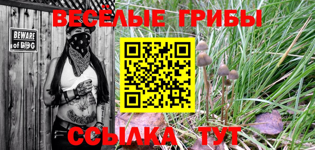 Псилоцибиновые грибы Cubensis Улан-Удэ