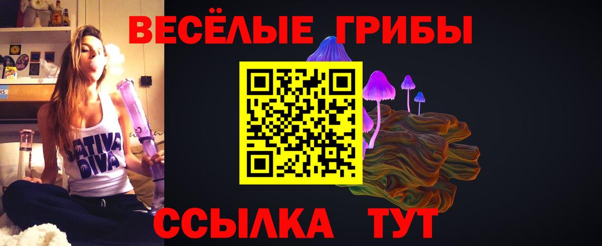 Улан-Удэ  Галлюциногенные грибы Psilocybe  Вход с VPN  Галлюциногенные грибы ЛСД 